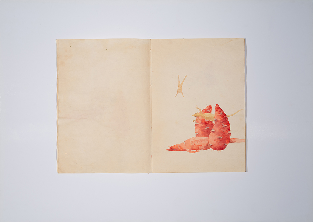 08.Maryam Mohry, Red Book, Water color on paper, 29.5×20.5 cm, 2018 & 2019
